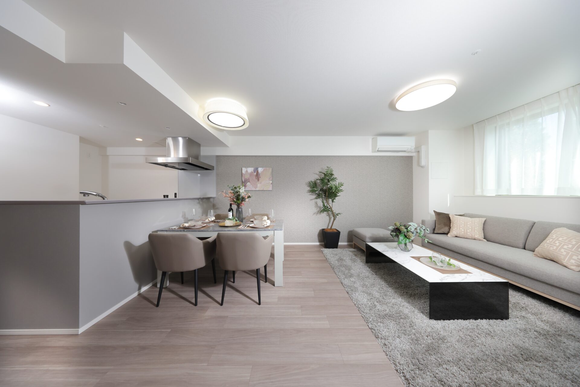 Living & Dining Room