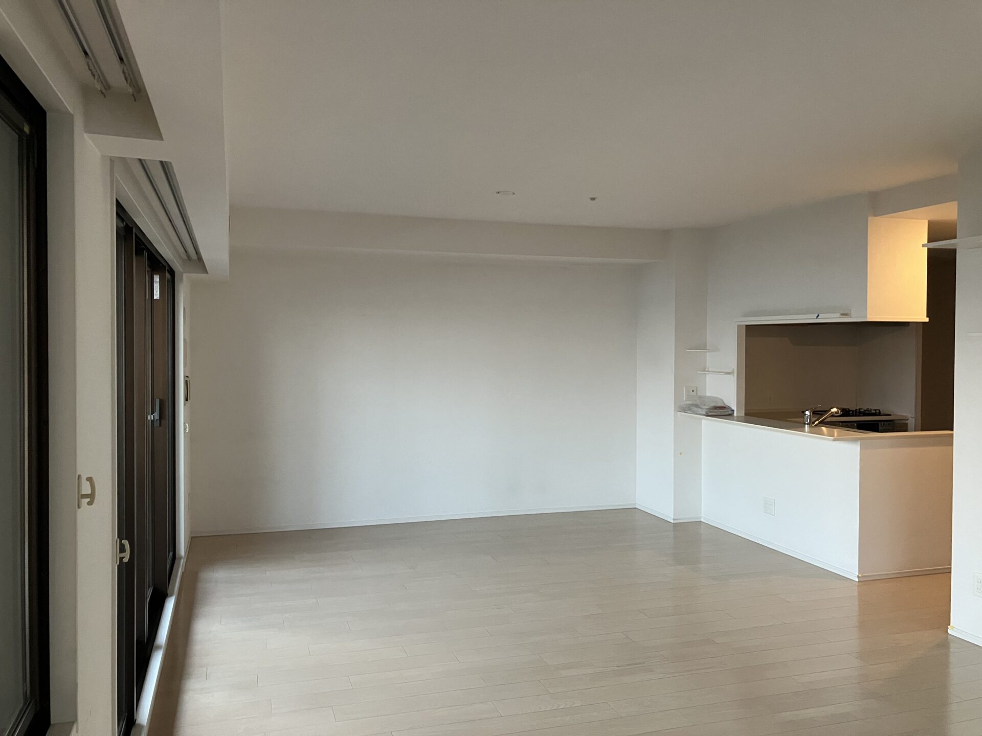 Dining & Liviing Room